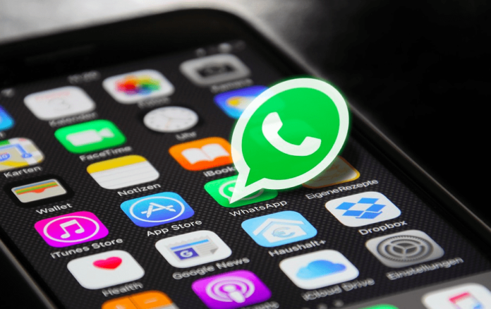 Fitur Pendukung Teknis WhatsApp